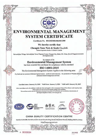 environmental management system certificate