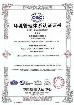 environmental management system certificate