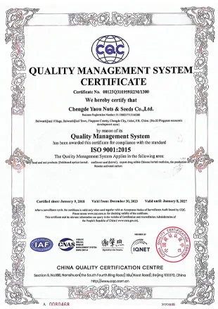 quality management system certificate