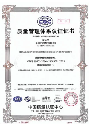 quality management system certificate