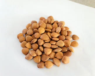 Bitter Apricot Kernel