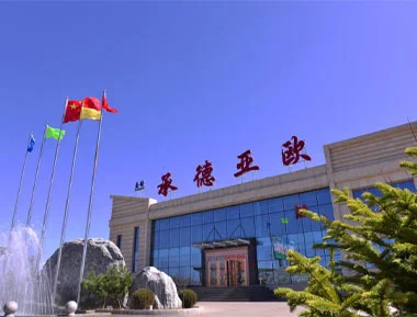 Leaders of the Standing Committee of Chengde City People's Congress Investigated and Inspected the Construction of Our Plant Extraction Workshop Project