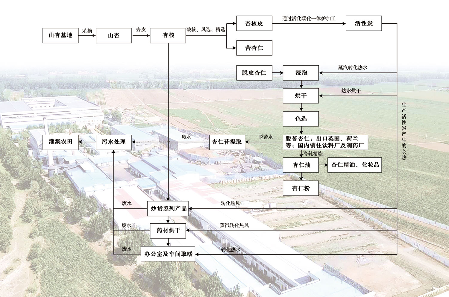 Circular Economy of Apricot Kernel