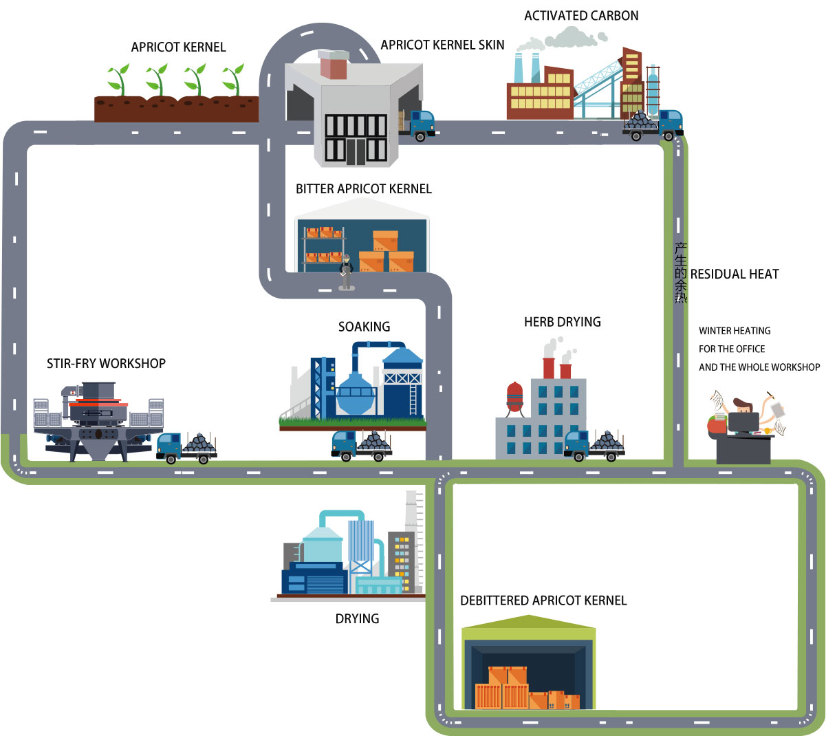 Circular Economy of Apricot Kernel