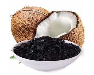 Coconut Shell Activated Carbon