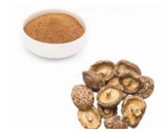 Shiitake Mushroom Extract